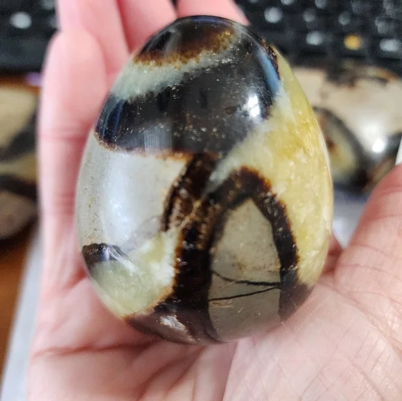 Septarian Sphere Egg